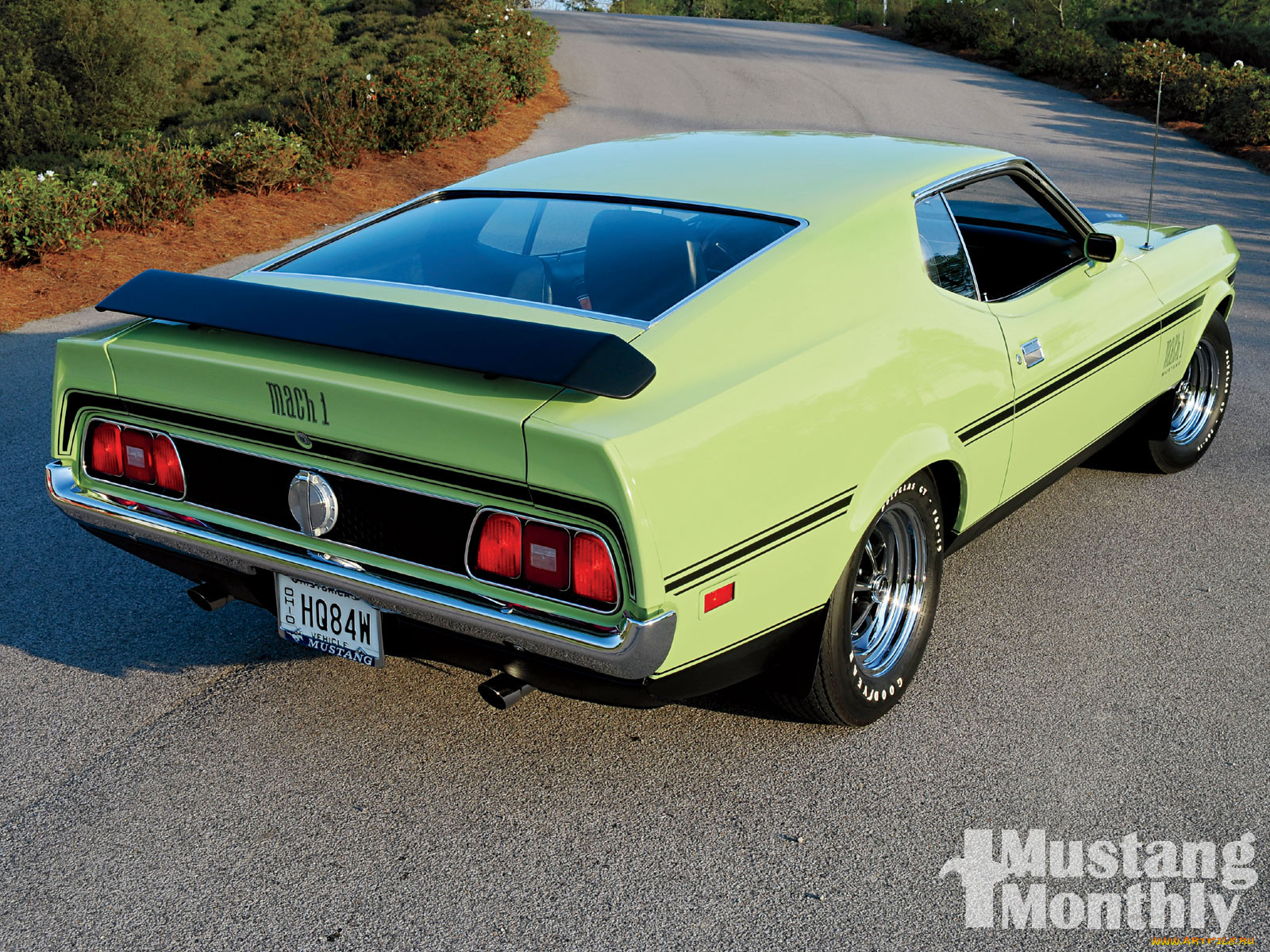 , mustang